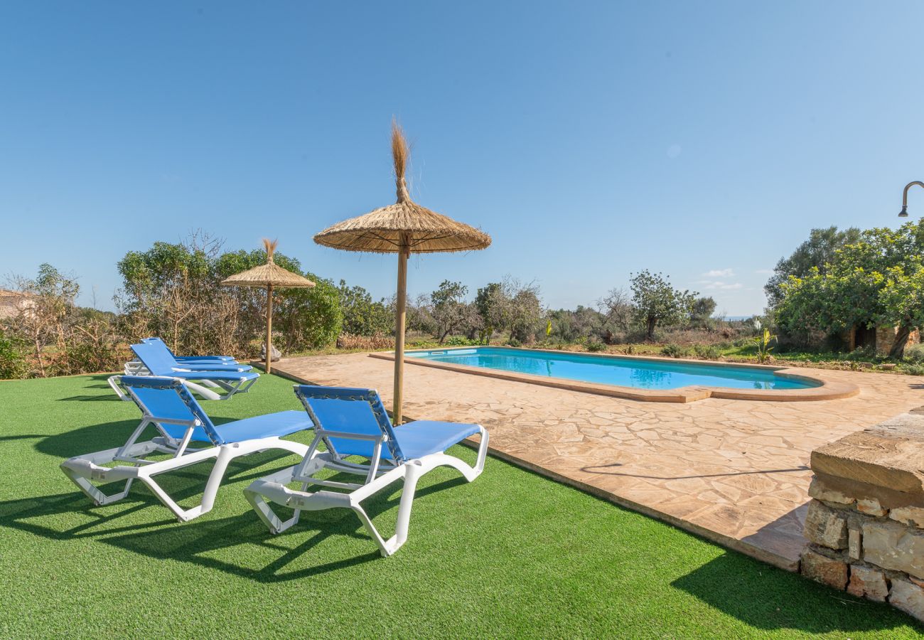 Landhaus in Manacor - Finca Can Cabestre