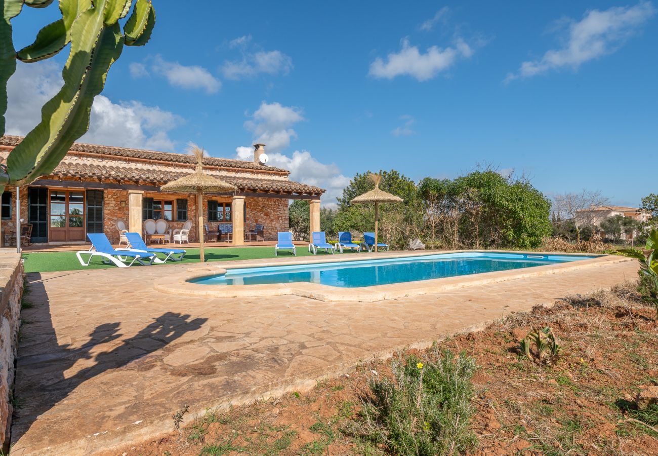 Landhaus in Manacor - Finca Can Cabestre