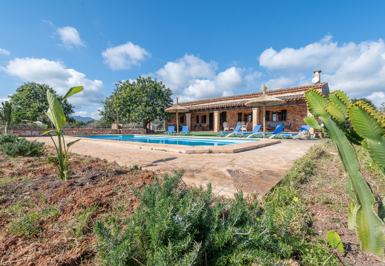 Landhaus in Manacor - Finca Can Cabestre
