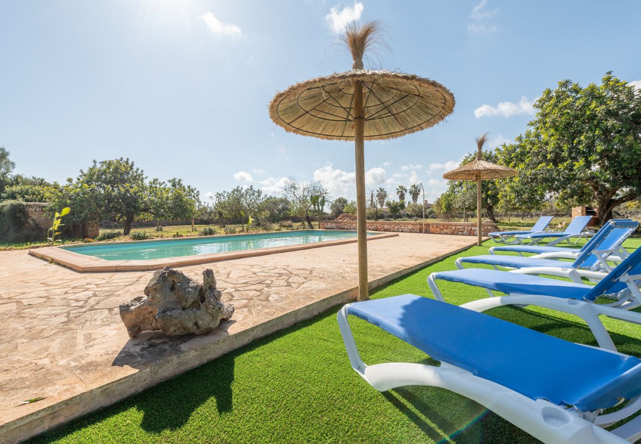 Landhaus in Manacor - Finca Can Cabestre