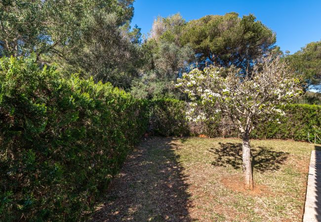 Chalet in Cala Murada - Villa Florentina by Mallorca House Rent Chalet in Cala Murada - Villa Florentina by Mallorca House Rent