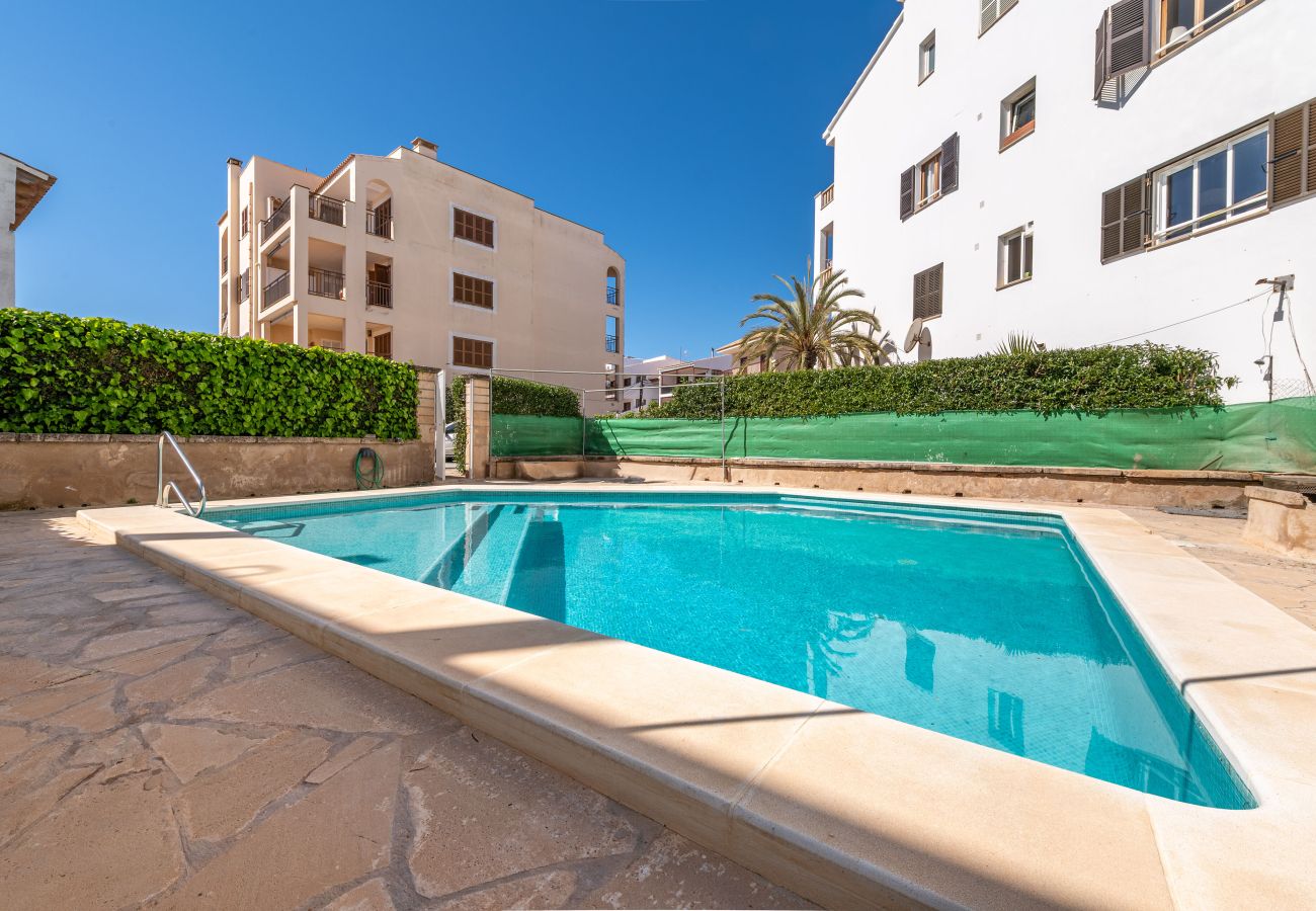 Ferienwohnung in Portocolom - Apartment Dofi by Mallorca House Rent