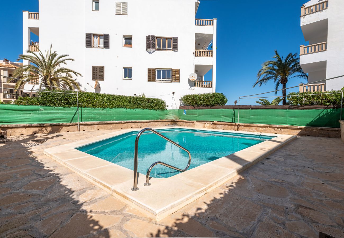 Ferienwohnung in Portocolom - Apartment Dofi by Mallorca House Rent