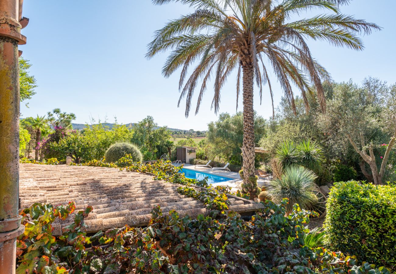 Finca in Cas Concos - Finca Can Quadrat by Mallorca House Rent