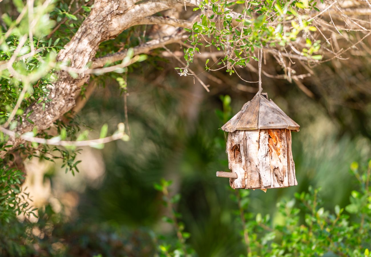 Ferienhaus in Felanitx - Finca Binifarda by Mallorca House Rent