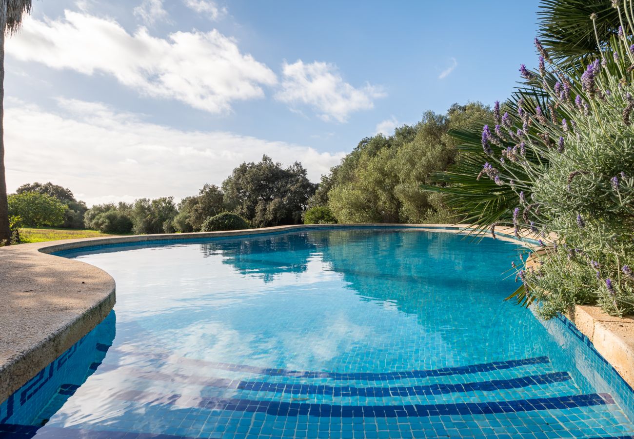 Ferienhaus in Felanitx - Finca Binifarda by Mallorca House Rent