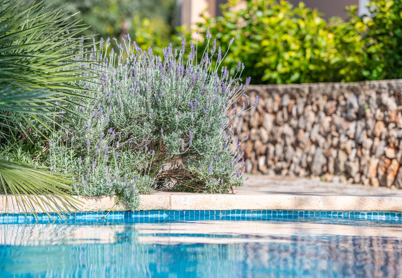 Ferienhaus in Felanitx - Finca Binifarda by Mallorca House Rent