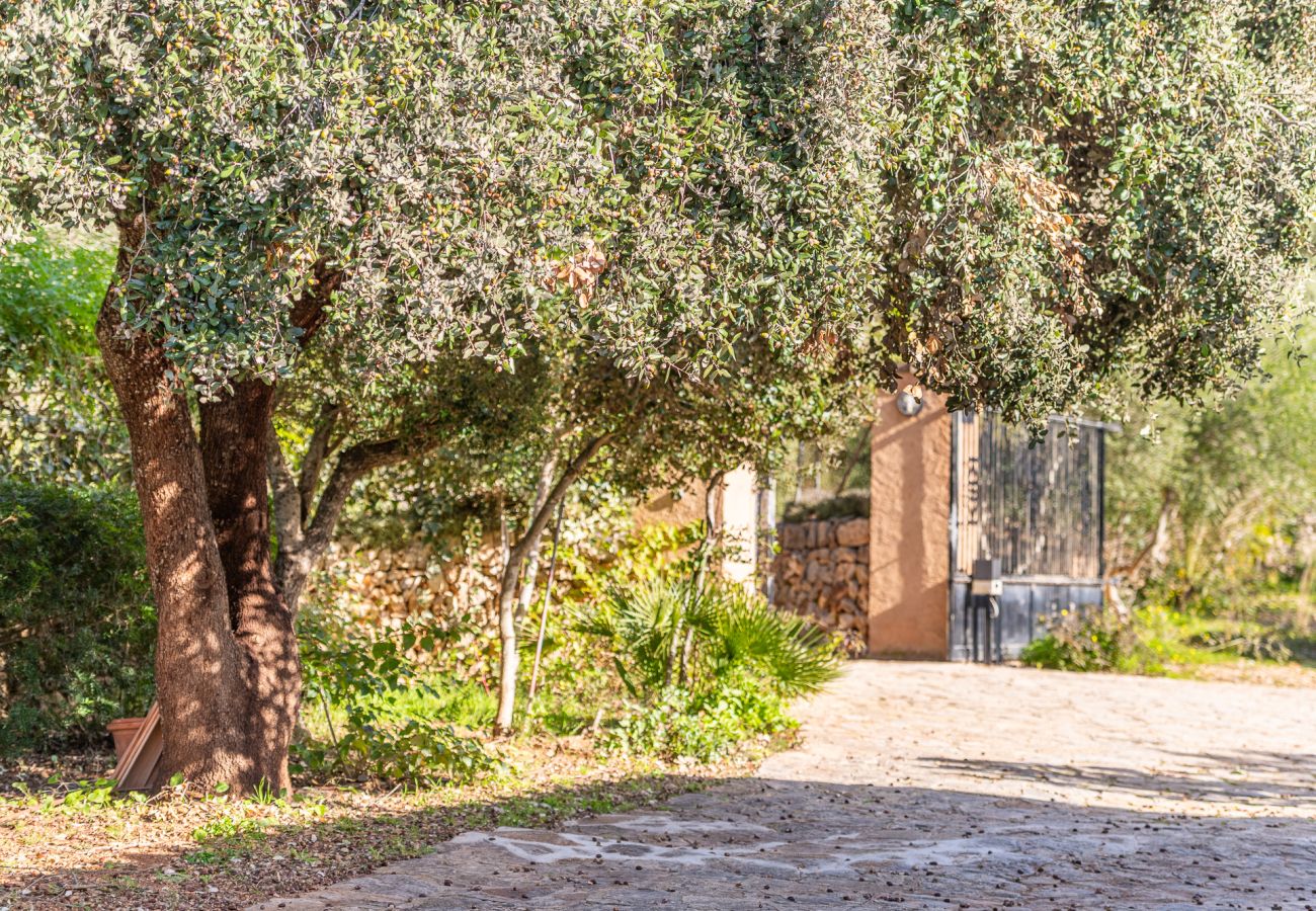 Ferienhaus in Felanitx - Finca Binifarda by Mallorca House Rent